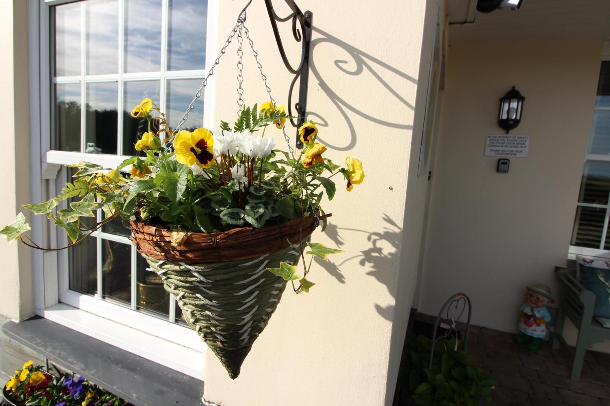 كاميلفورد Melorne Farm Guest House المظهر الخارجي الصورة