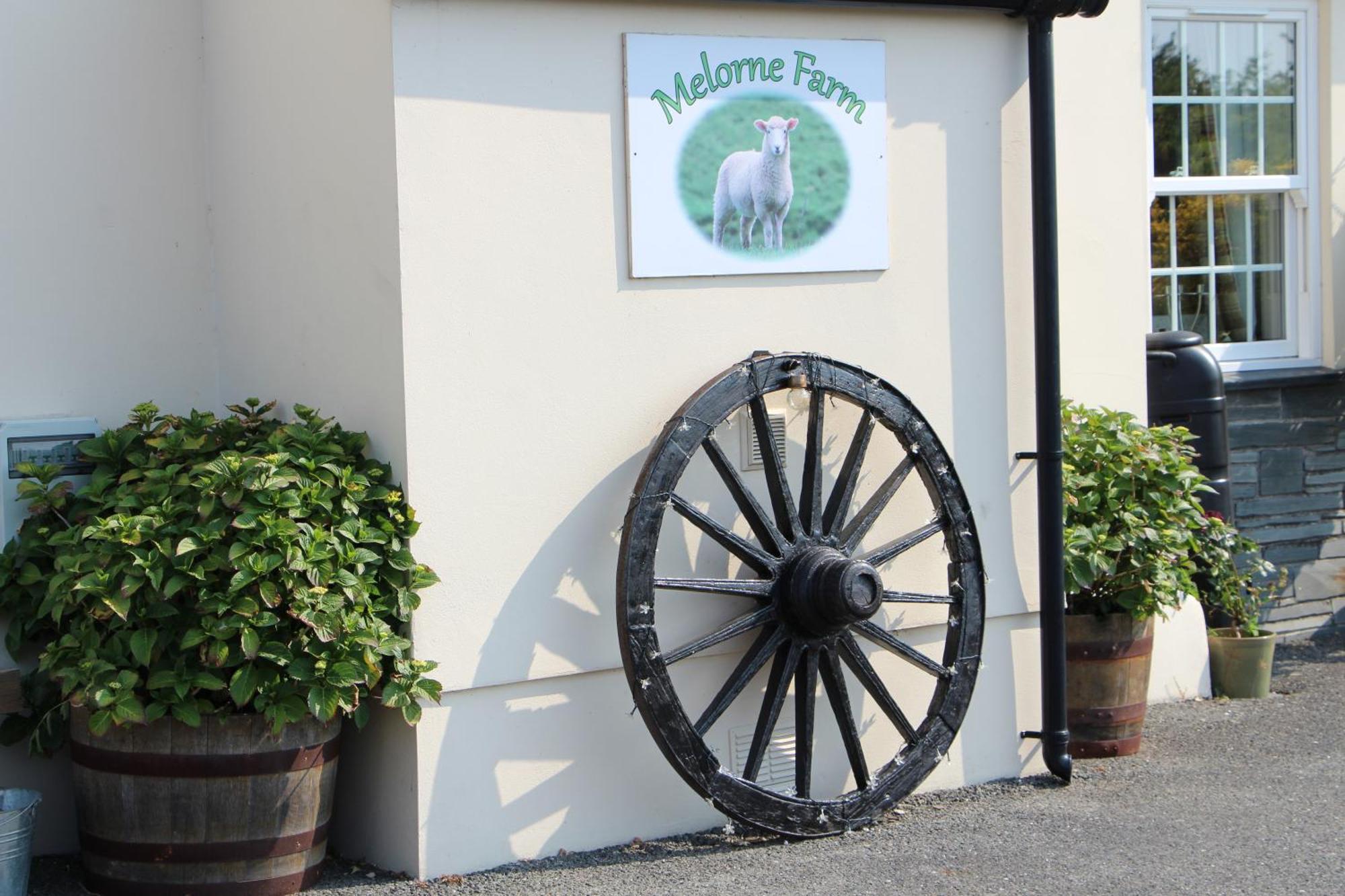 كاميلفورد Melorne Farm Guest House المظهر الخارجي الصورة